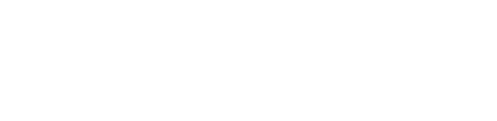 PlaySafe Brokers - Logotipo